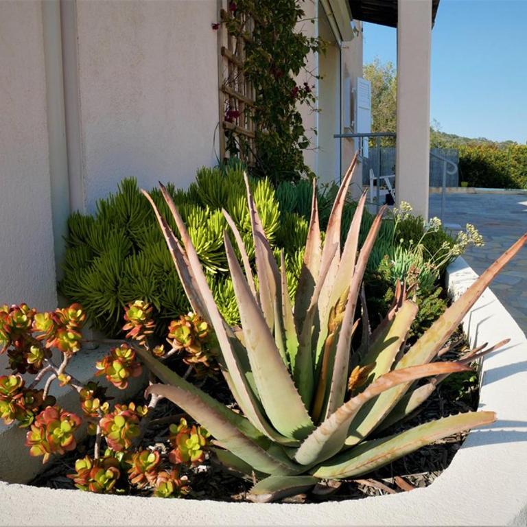 Bel appartement 3 pièces en villa climatisé 800m plage WIFI - Maison 2 Chambres - 10