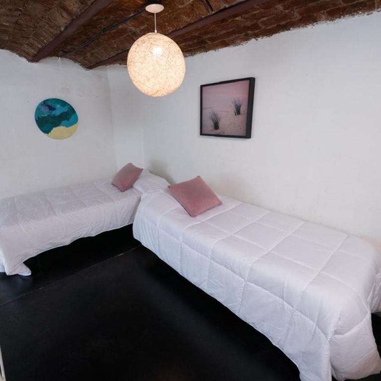 Art house Charcas - Casa de 6 dormitorios - 22