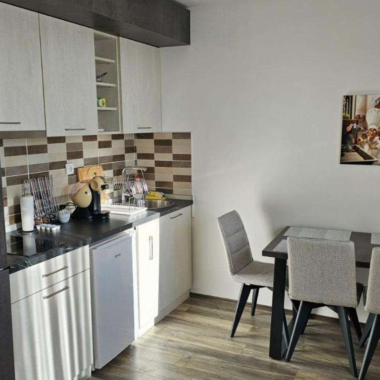 Sunčani Breg app 8 - Apartman sa 1 Spavaćom Sobom - 13