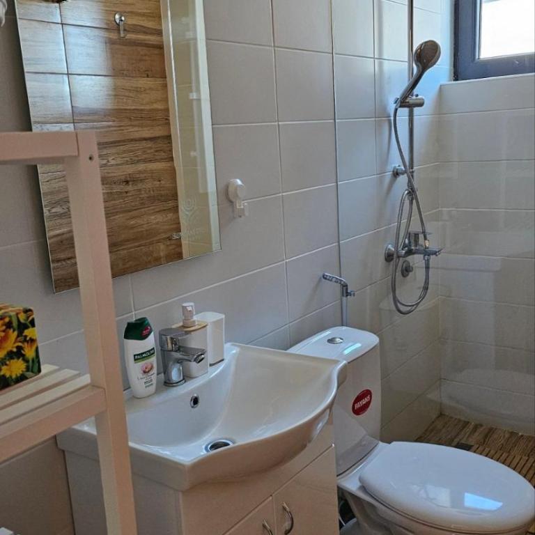 Sunčani Breg app 8 - Apartman sa 1 Spavaćom Sobom - 14