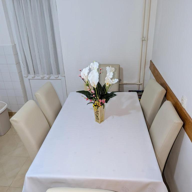 Stan na dan Mostar bijeli Brijeg - One-Bedroom Apartment - 21
