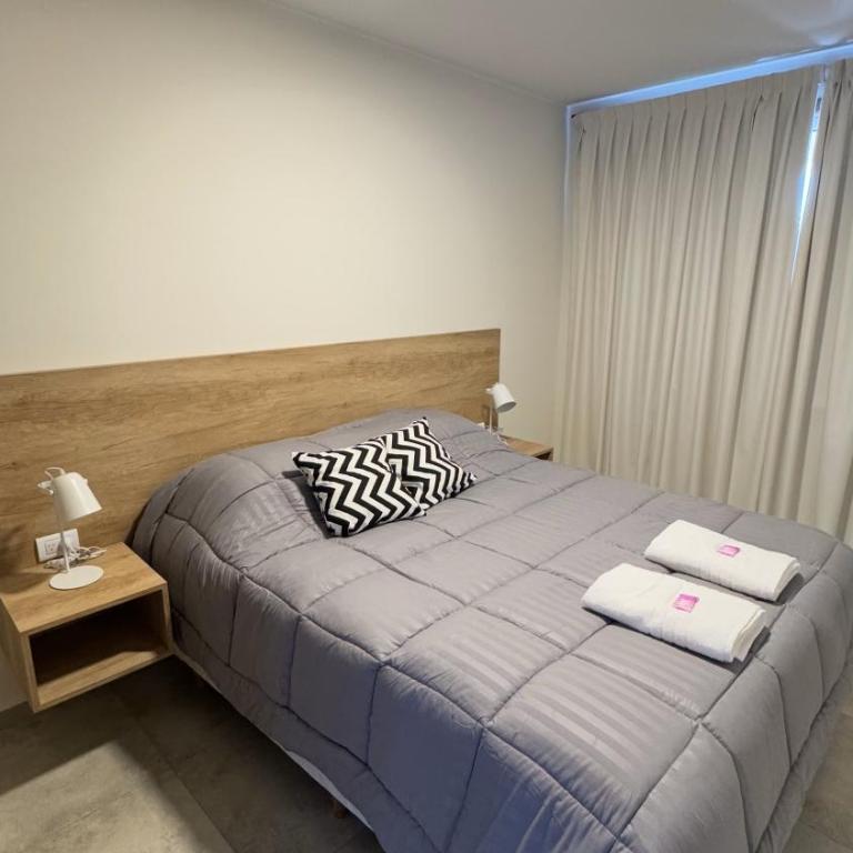 Complejo Coirón Premium - One-Bedroom Deluxe Apartment - 12