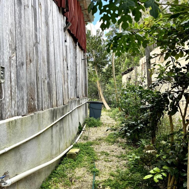 Linda casa privada en la naturaleza de Tulum!!! - Casa de 2 dormitorios - 5