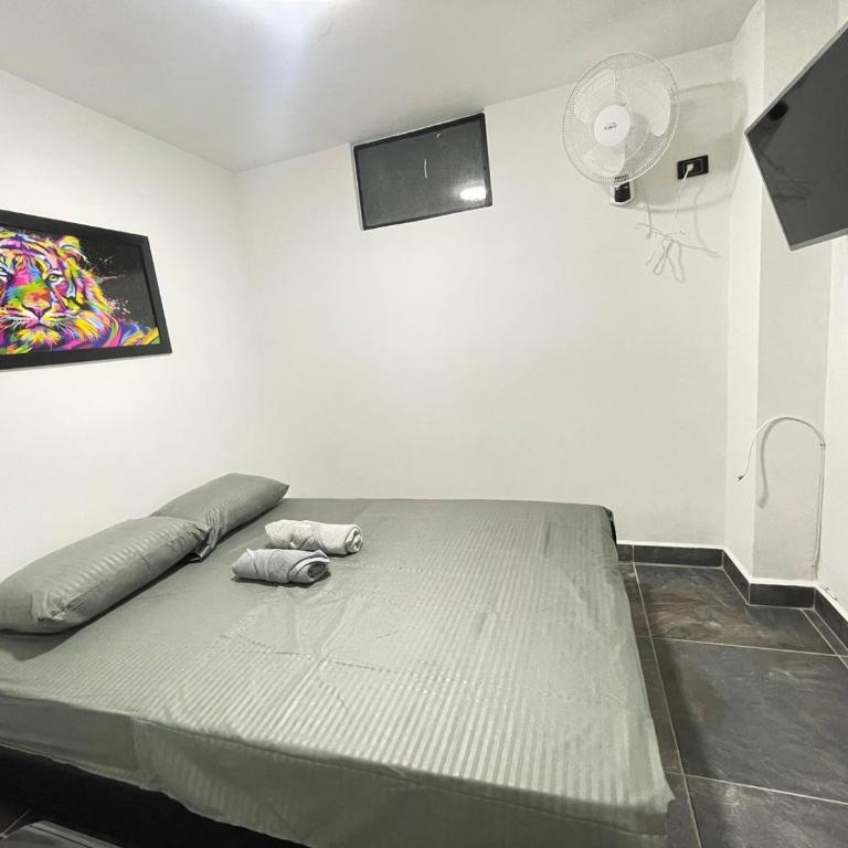 Modernos Apartamento Laureles -Estadio - Apartamento de 2 dormitorios - 8