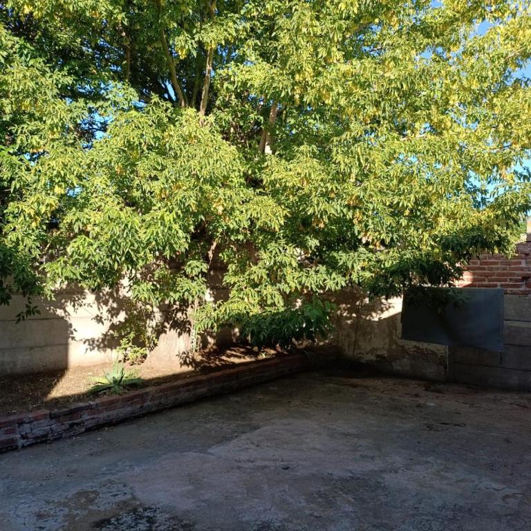 Casa para 4 personas en Victorica La Pampa - Casa con 1 dormitorio - 8