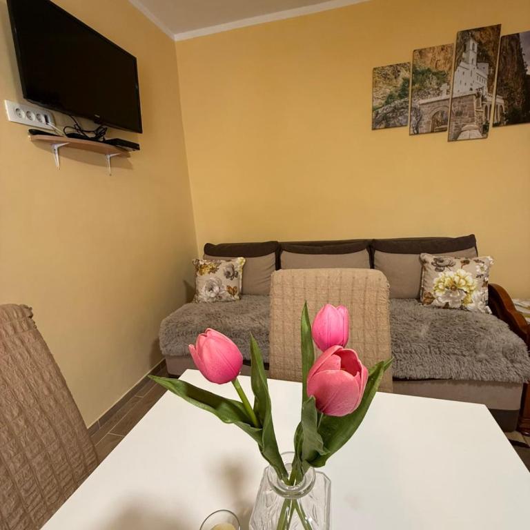 Stan na dan, Igalo - Apartman sa 1 Spavaćom Sobom - 2