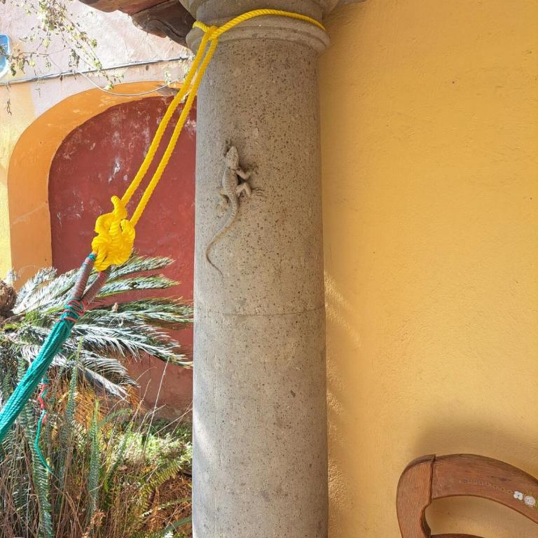 Jardín Casa Chalma con Alberca, Billar & Vóleibol - Casa de 4 dormitorios - 11