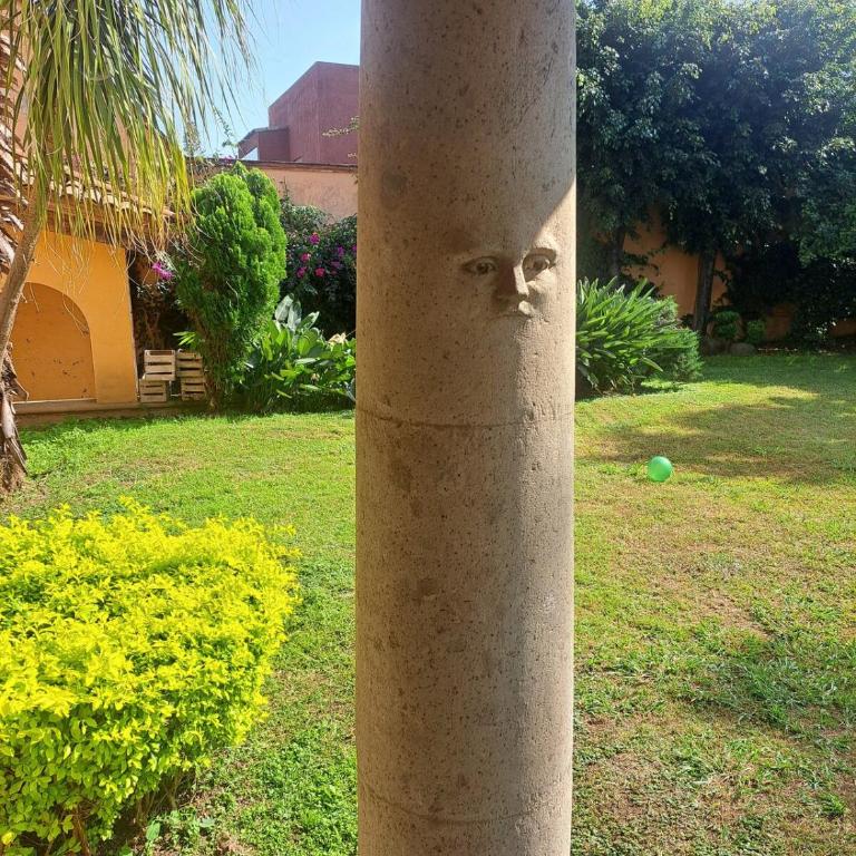 Jardín Casa Chalma con Alberca, Billar & Vóleibol - Casa de 4 dormitorios - 15