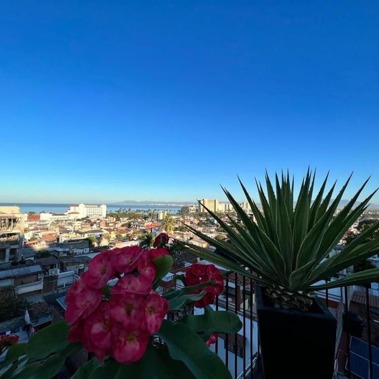 Casita Lulus - Apartamento de 1 dormitorio con balcón - 17