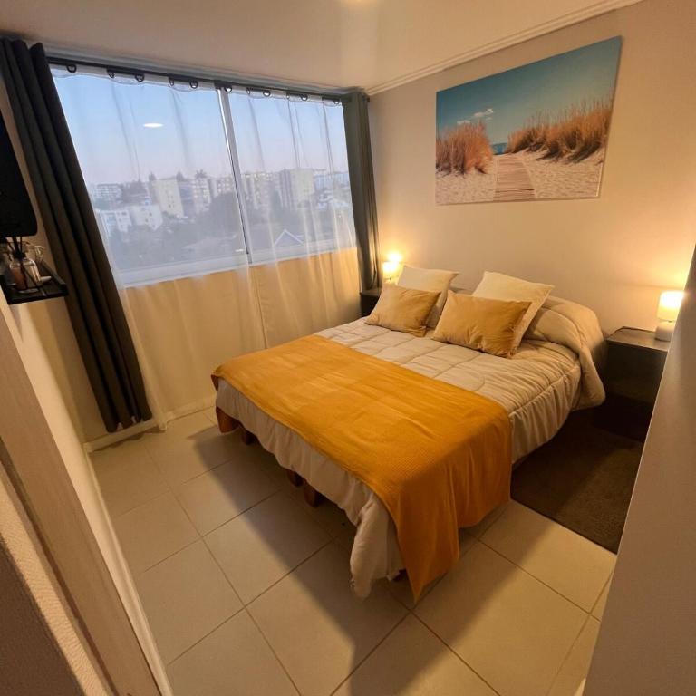 Estupendo Departamento - Two-Bedroom Apartment - 1