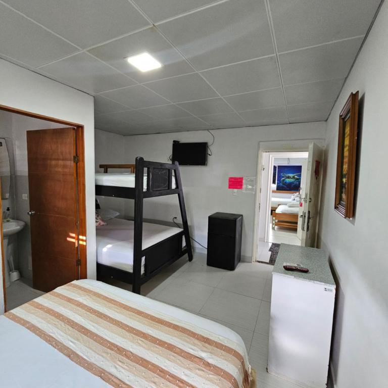 Hostal Shangiovys - Apartamento de 1 dormitorio - 6