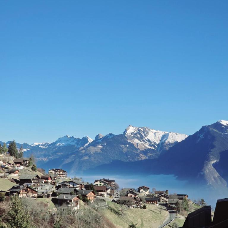 L'écrin de Torgon aux Portes du Soleil - Apartment mit 1 Schlafzimmer - 36