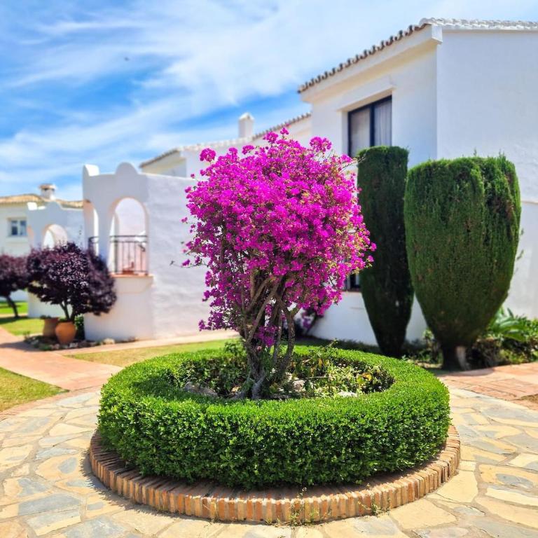 Modern Two bedroom apartment in Pueblo Cortes del Golf Benahavis - Apartamento de 2 dormitorios con vistas al jardín - 25