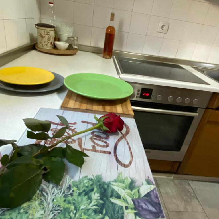 Dan i noc - Apartman sa 2 Spavaće Sobe - 30