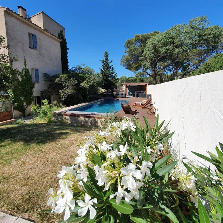 La cigale et la fourmi - Appartement 1 Chambre avec Jardin - 4