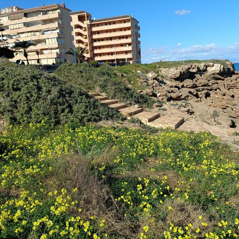 Apartamento MIRAMAR - Loft - 3