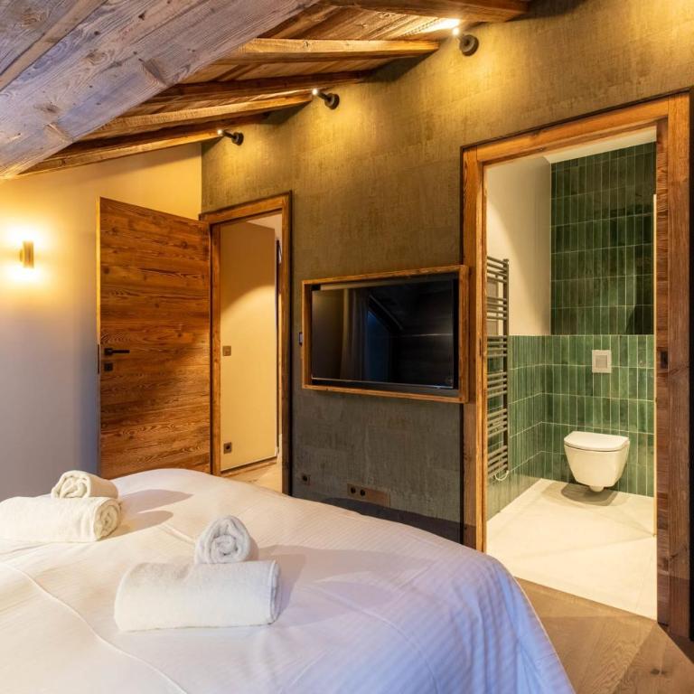 Fleur des Alpes 501 - Appartement - 16