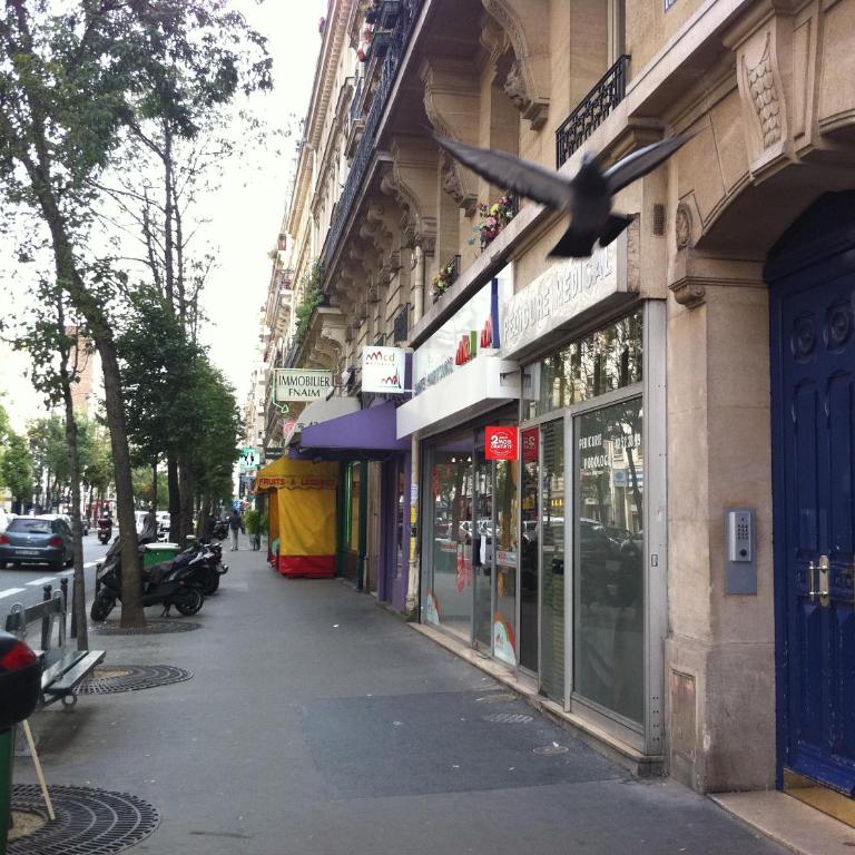 Le Studio Flore - Appartement - 6
