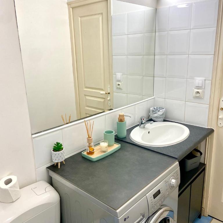 Appartement cosy avec jardin proche centre . - Appartamento con 1 Camera da Letto - 13