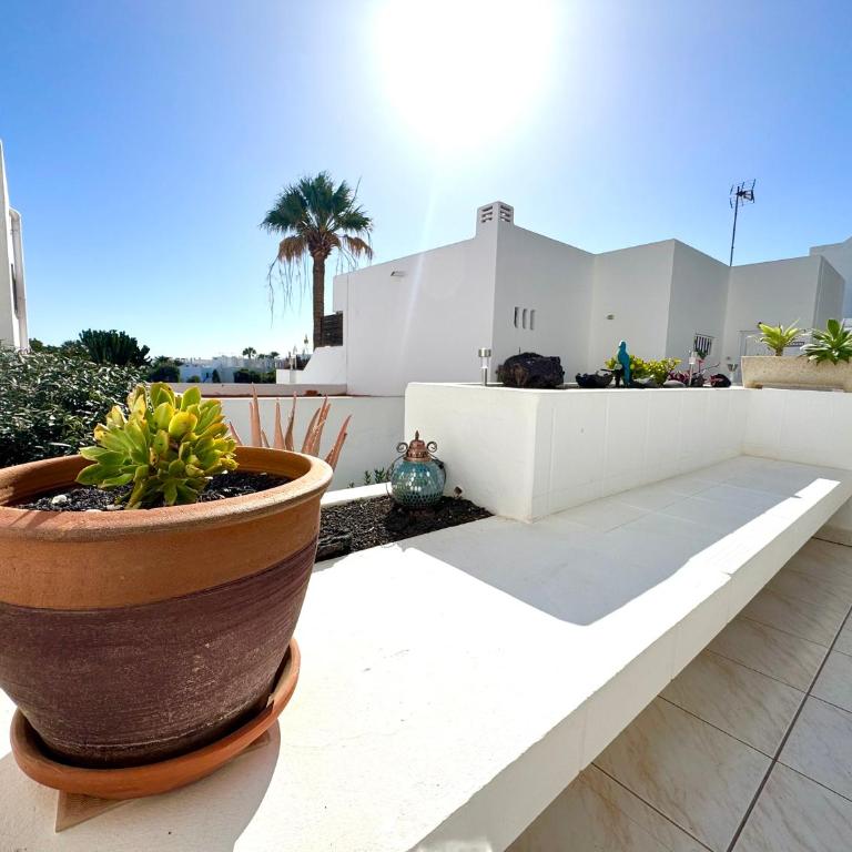 Aloe Vera Apartment - Apartamento de 1 dormitorio - 30