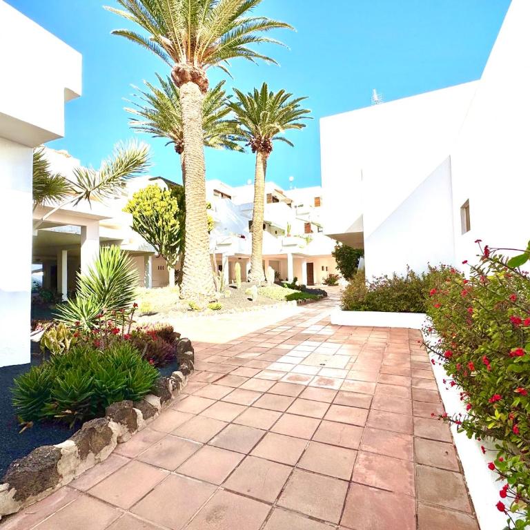 Aloe Vera Apartment - Apartamento de 1 dormitorio - 31