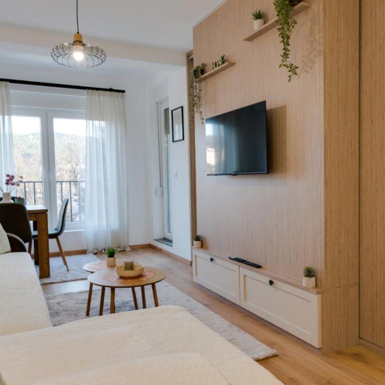 Apartman Svitanje Vrnjacka banja - Apartman sa 1 Spavaćom Sobom - 16