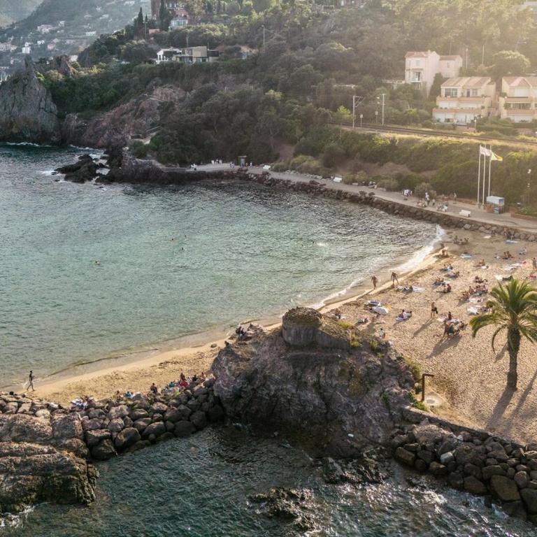 Sea View Apartment with Large Terrace & 2 Bathrooms Mandelieu - Apartment - 4
