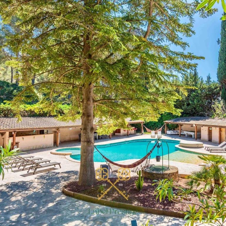 La Bastide du Vallon - Villa - 5