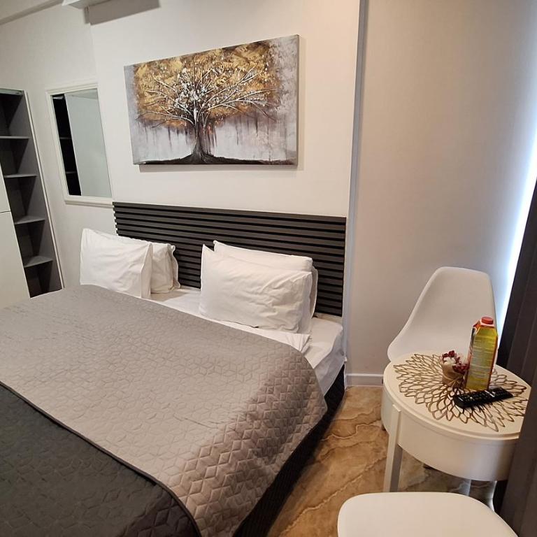Hanna City Center - Dvokrevetna Soba sa Bračnim Krevetom/Zasebnim Krevetima - 10