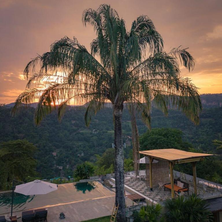 Casa Guadalupe, Anapoima - Villa - 10