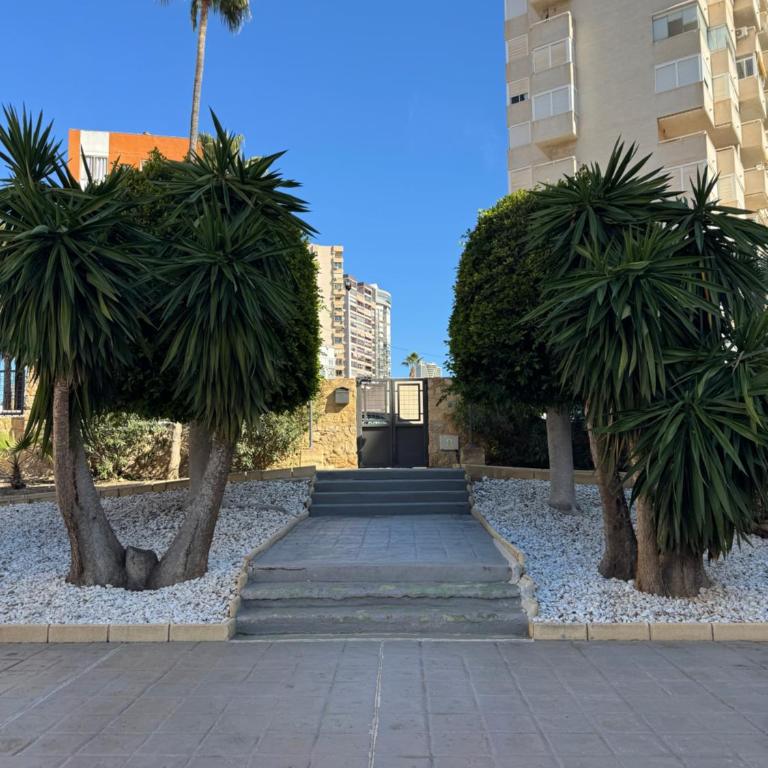 Casa Bendita - LUXURY APARTMENT BENIDORM - One-Bedroom Apartment - 45