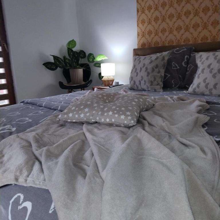 STEFAN - Apartman sa 1 Spavaćom Sobom - 16