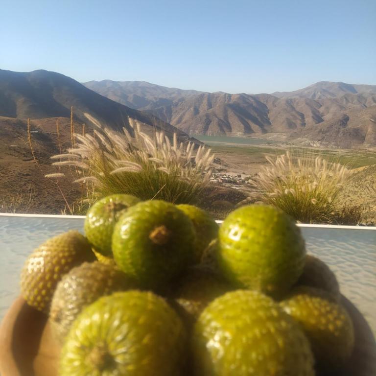 Casa Puclaro, terraza panorámica Valle del Elqui - Casa de 3 dormitorios - 38