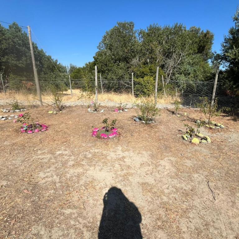 Cabaña camino al embalse ancoa linares - Three-Bedroom Chalet - 25