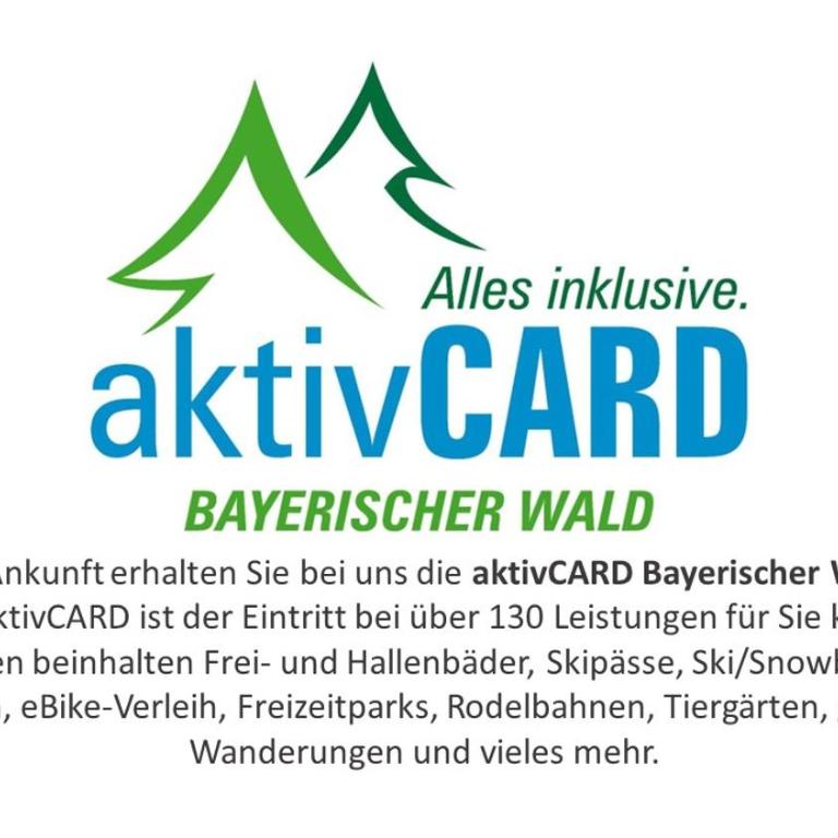 Ferienwohnung Phin in Sankt Englmar, mit Pool, activCard und Smart TV - One-Bedroom Apartment - 13