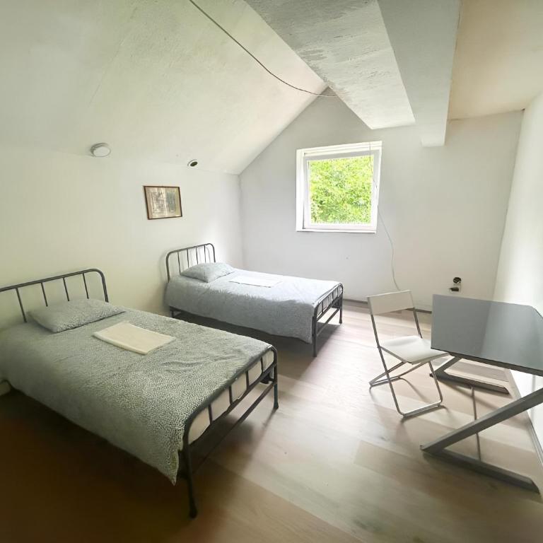 Belgrade Hostel Shambala - Krevet za 1 Osobu u Mešovitoj Spavaonici - 6