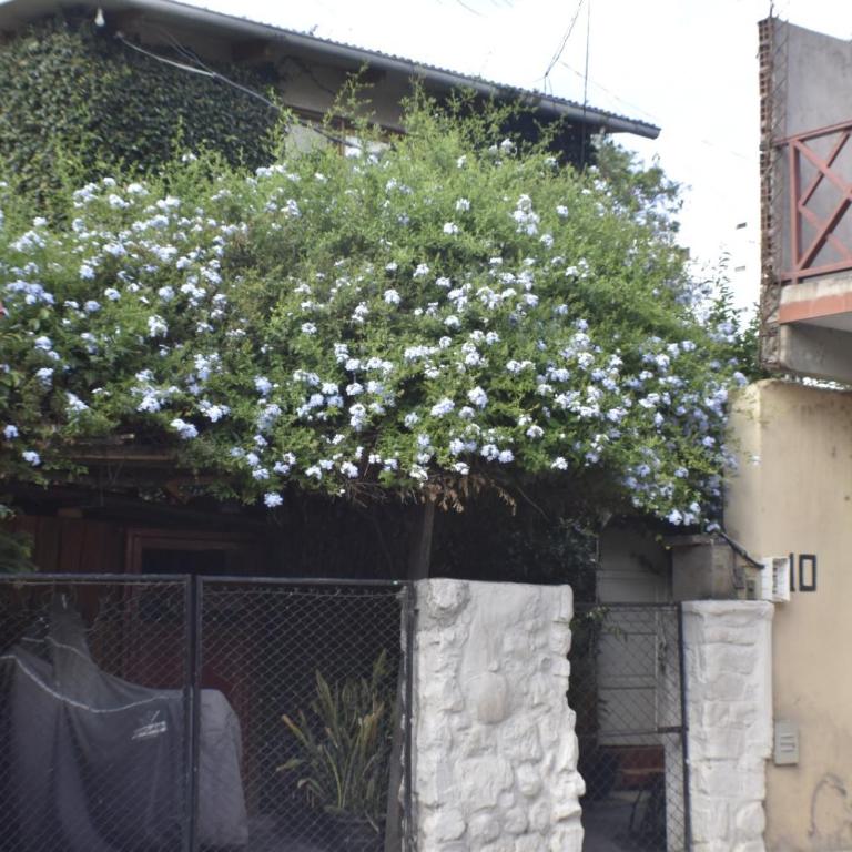 Departamento Hippy Chick - Apartamento de 2 dormitorios - 9