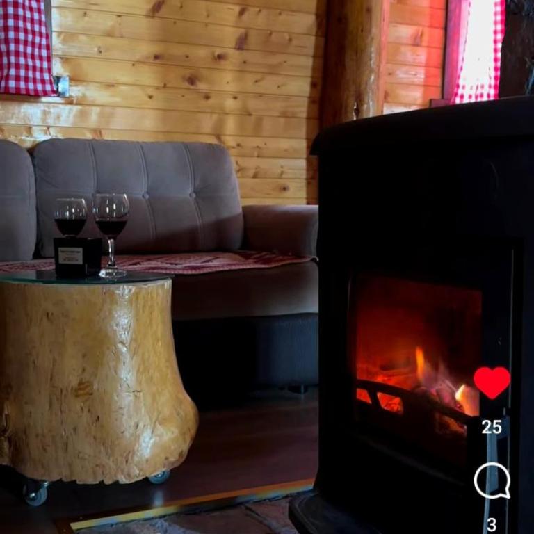 Family Farm Apartments - Two-Bedroom Log-House - 18