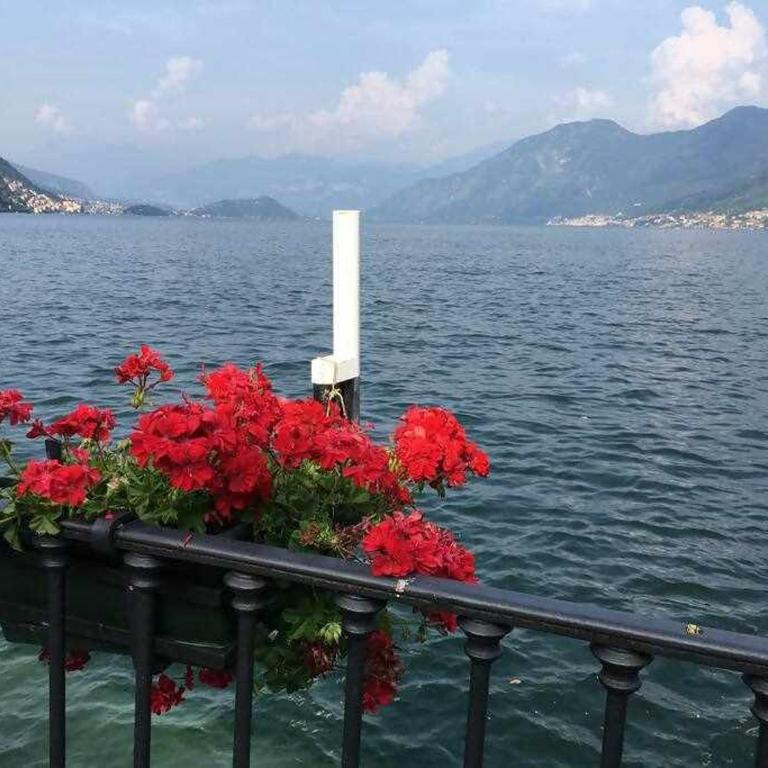Villa Peroni Lake Como - Vintage - Apartamento con vistas al lago - 28