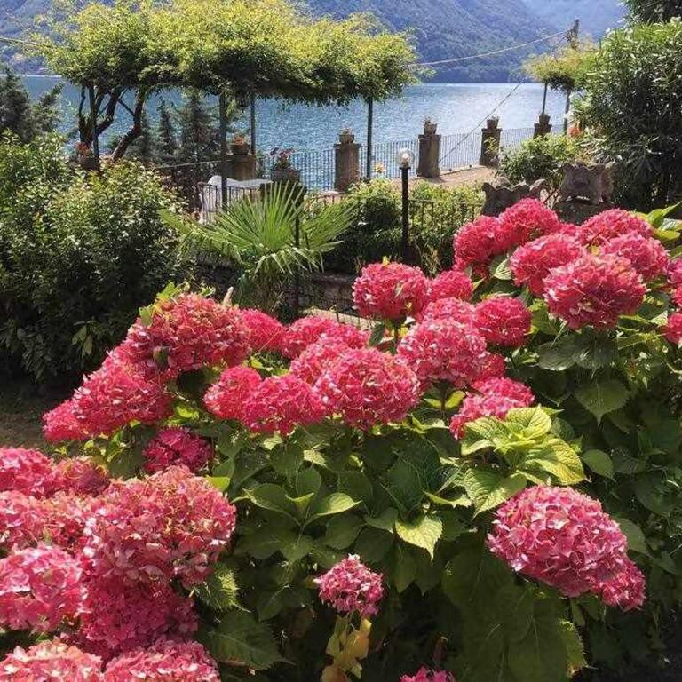 Villa Peroni Lake Como - Vintage - Apartamento con vistas al lago - 41