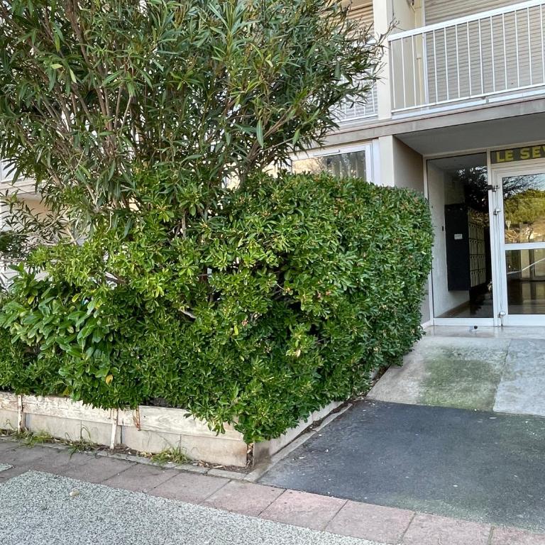 A deux pas des thermes et de l'étang de Thau - Appartement 1 Chambre - 27