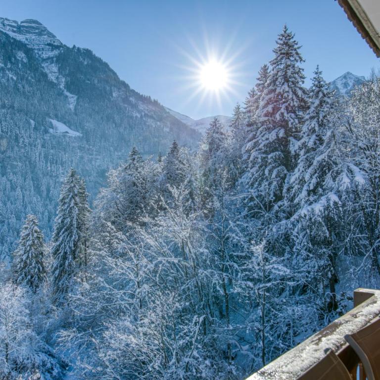 Magical setting Exclusive mountain views Champcalm - Appartement avec Vue sur la Montagne - 12