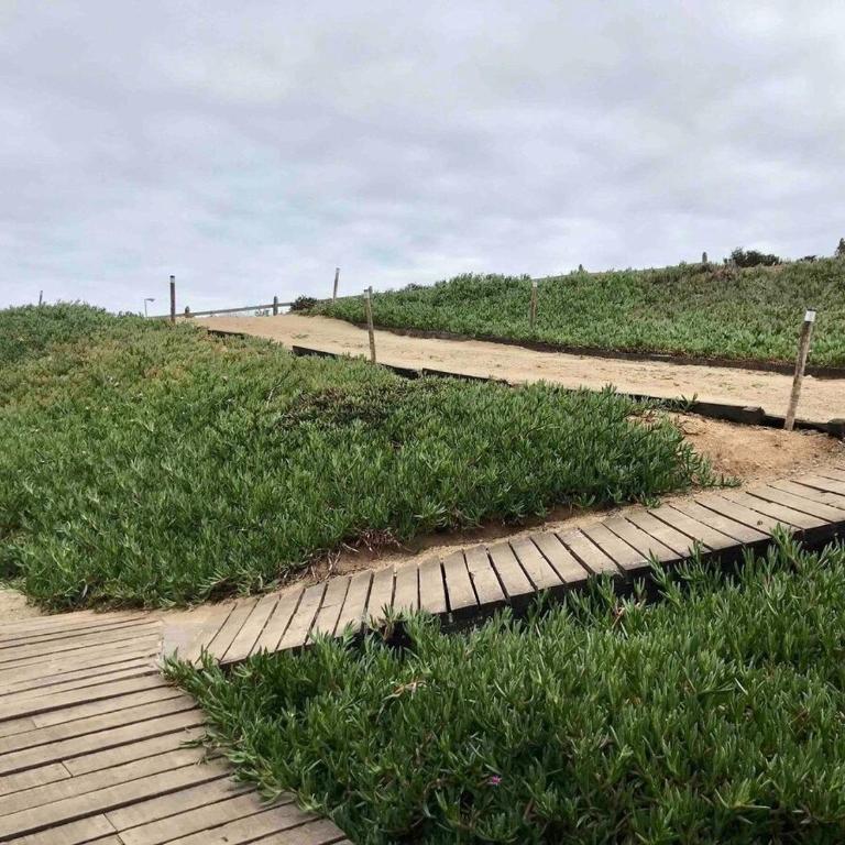 Olas de Pichicuy - Casa - 38
