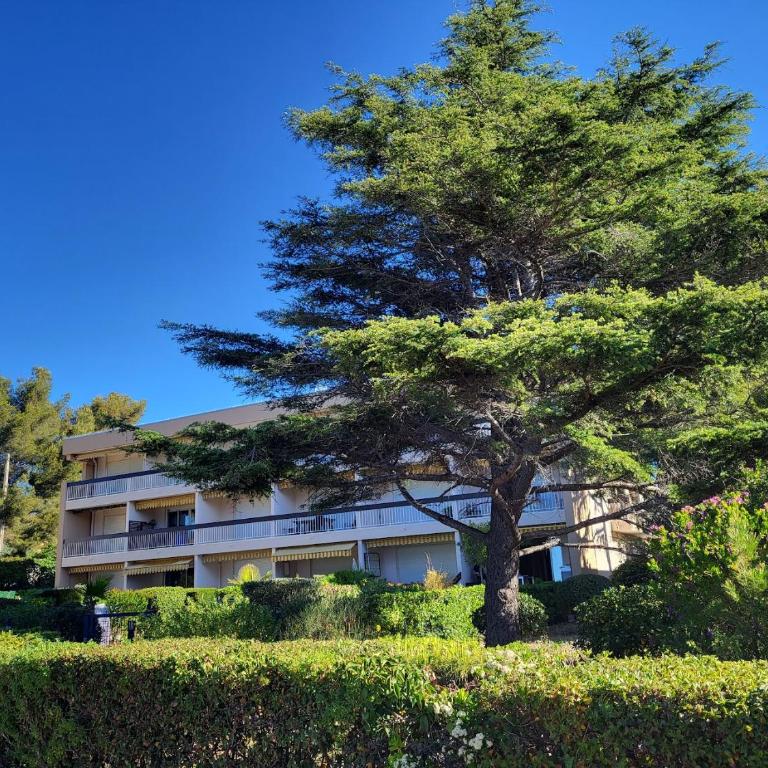 Appartement les pieds dans l'eau avec terrasse et jardin - Apartamento de 1 dormitorio - 14