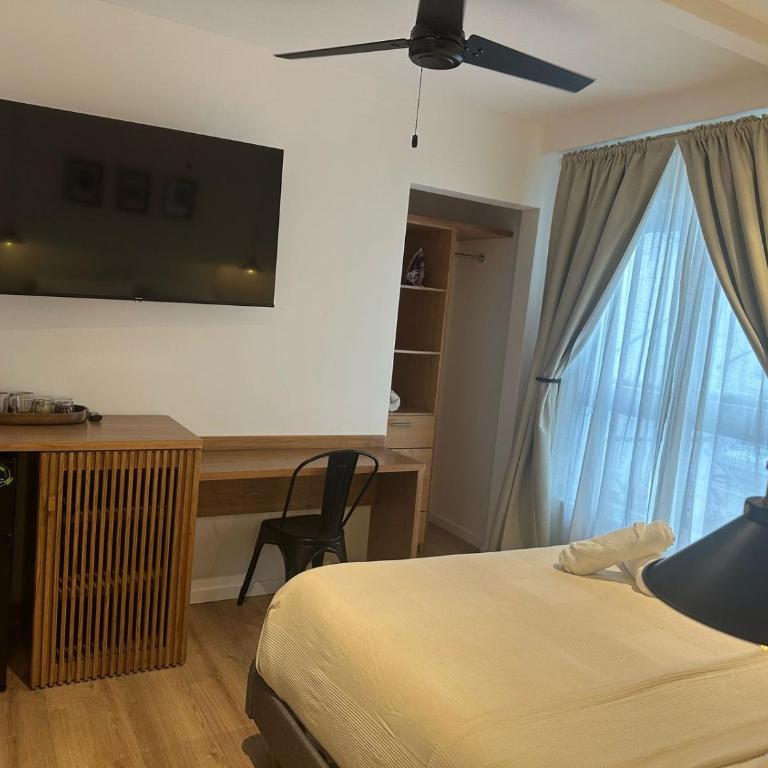 Bright & sweet unit in the heart of Polanco. - Habitación Deluxe - 1 cama grande - 5