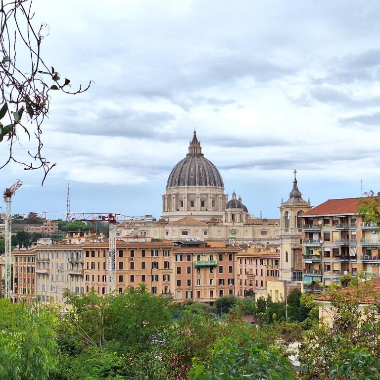 Delmirani's Book Apartments - Vatican View - Appartamento Standard - 1