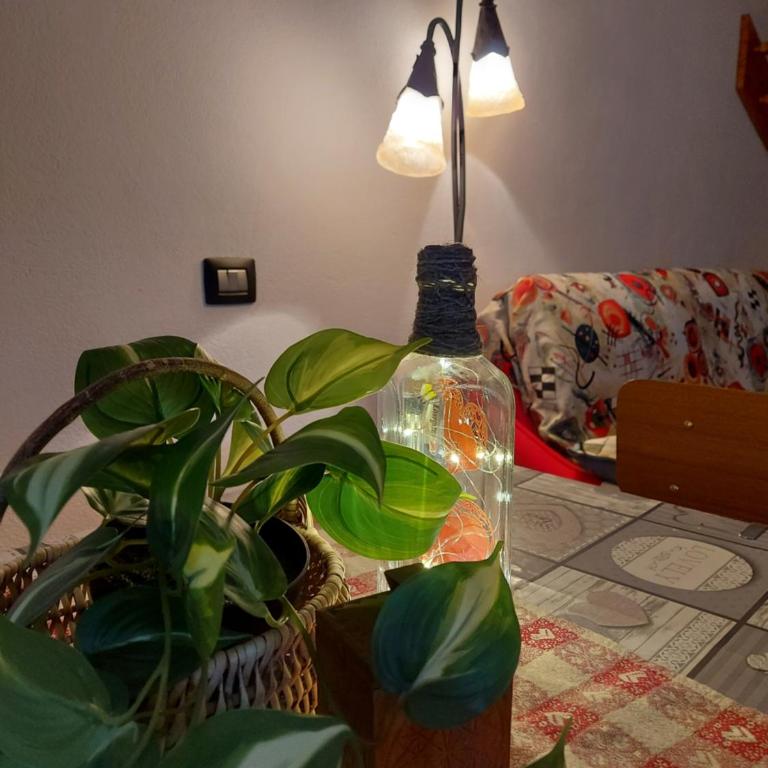 CAV MES VALLEES Torgnon Vda - One-Bedroom Apartment - 3