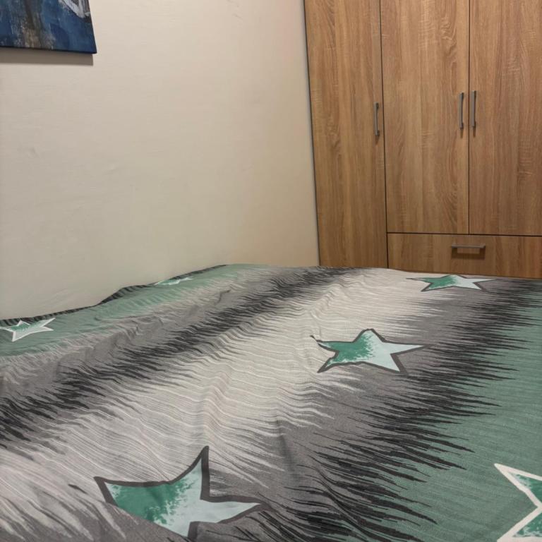 Udoban smeštaj u blizini grada i Dunava - Apartman sa 1 Spavaćom Sobom - 9