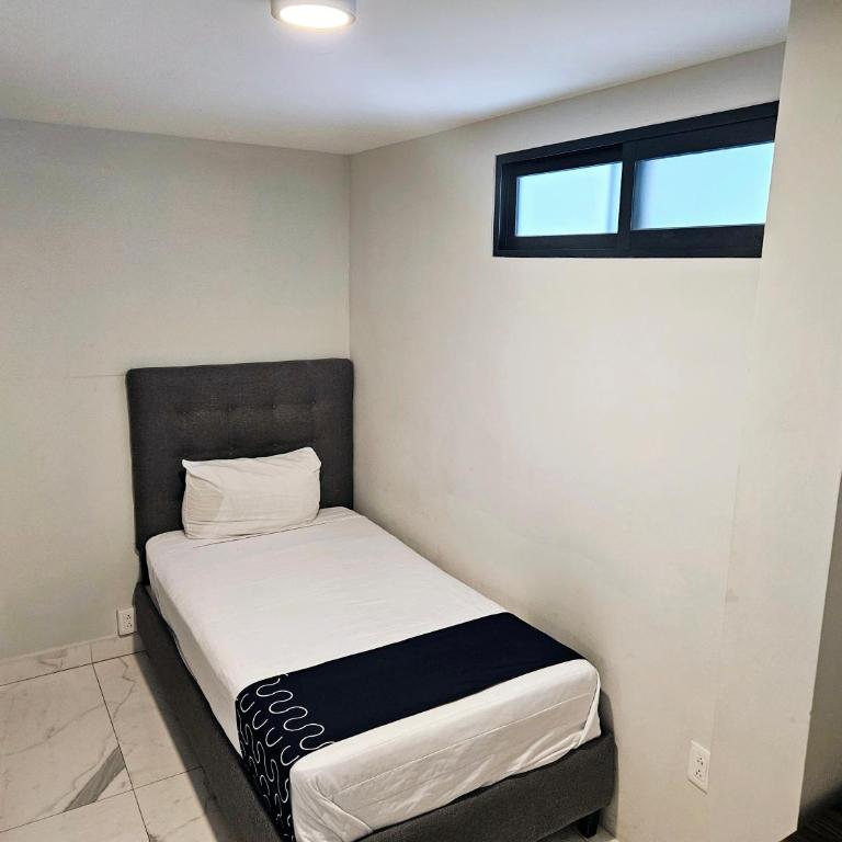 Singular Sócrates - Standard Single Room with Shared Bathroom - 8