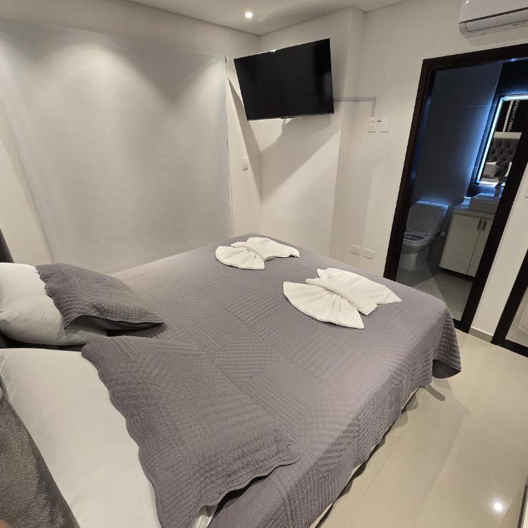 Confortable Departamento en Encarnación - Apartamento de 2 dormitorios con vistas al río - 10
